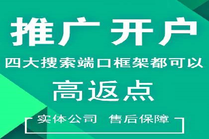 信息流广告投放公司：成功案例解析